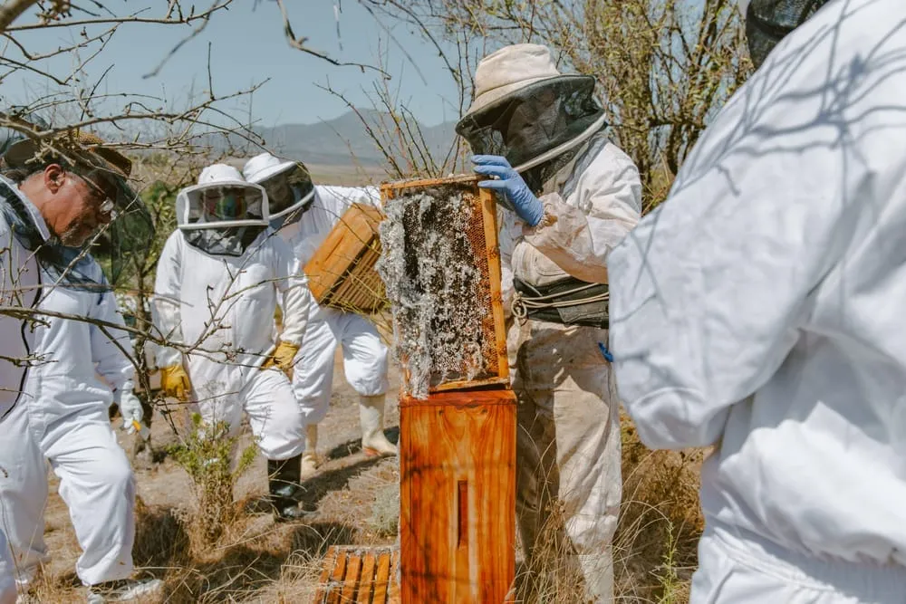 A Win for Winter: The Solstice Shift