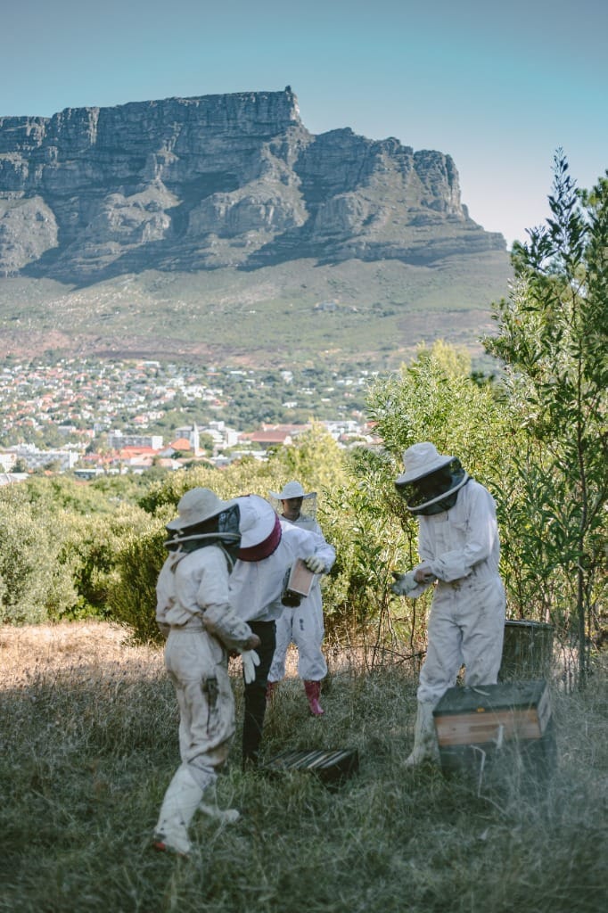 Beekeeping course at Barben Bees