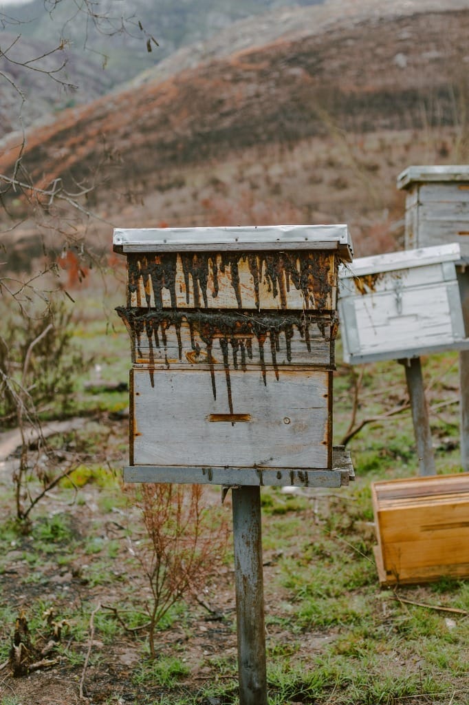Hive ready for winter
