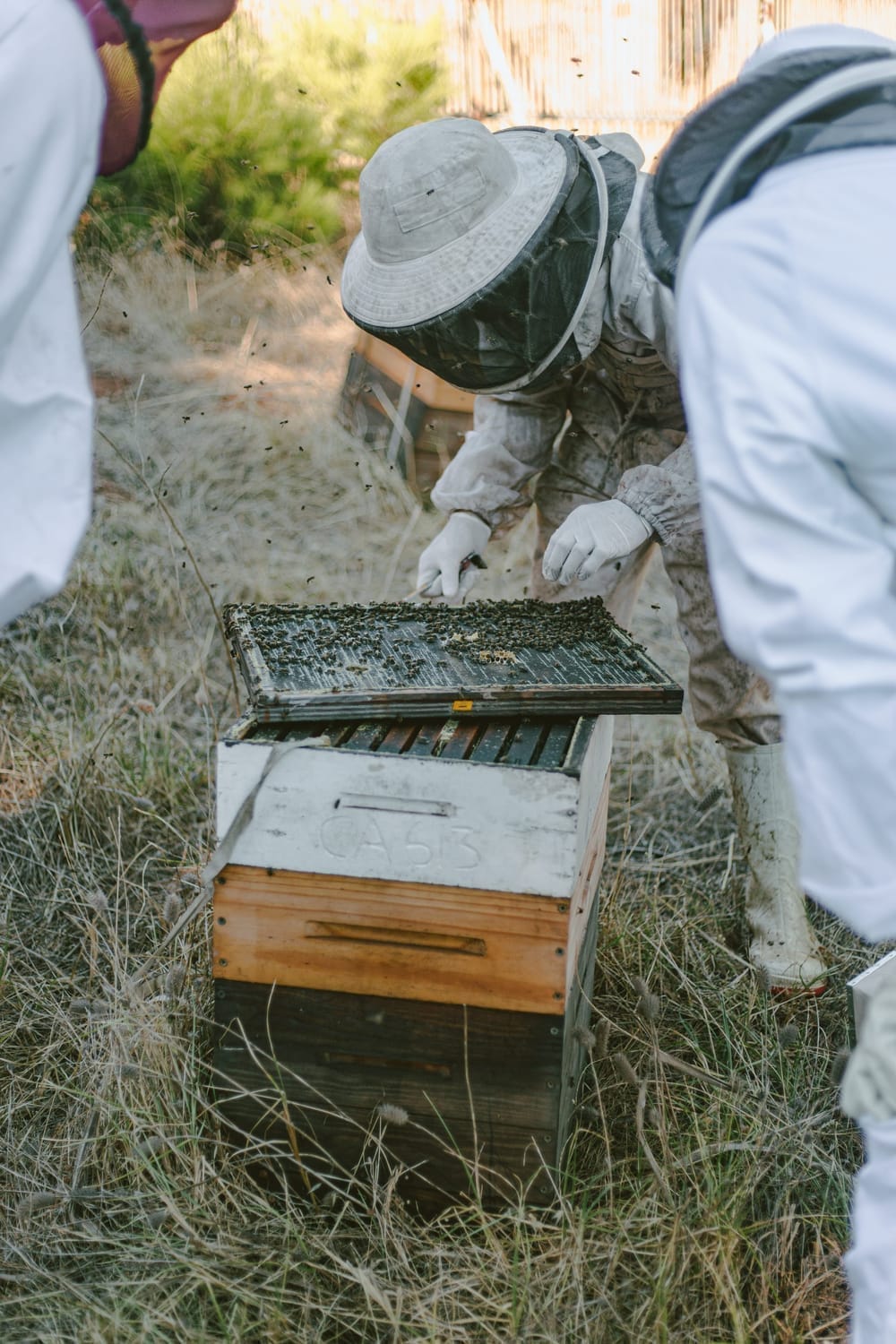 Academy student lifting and inspecting active honeycomb frame