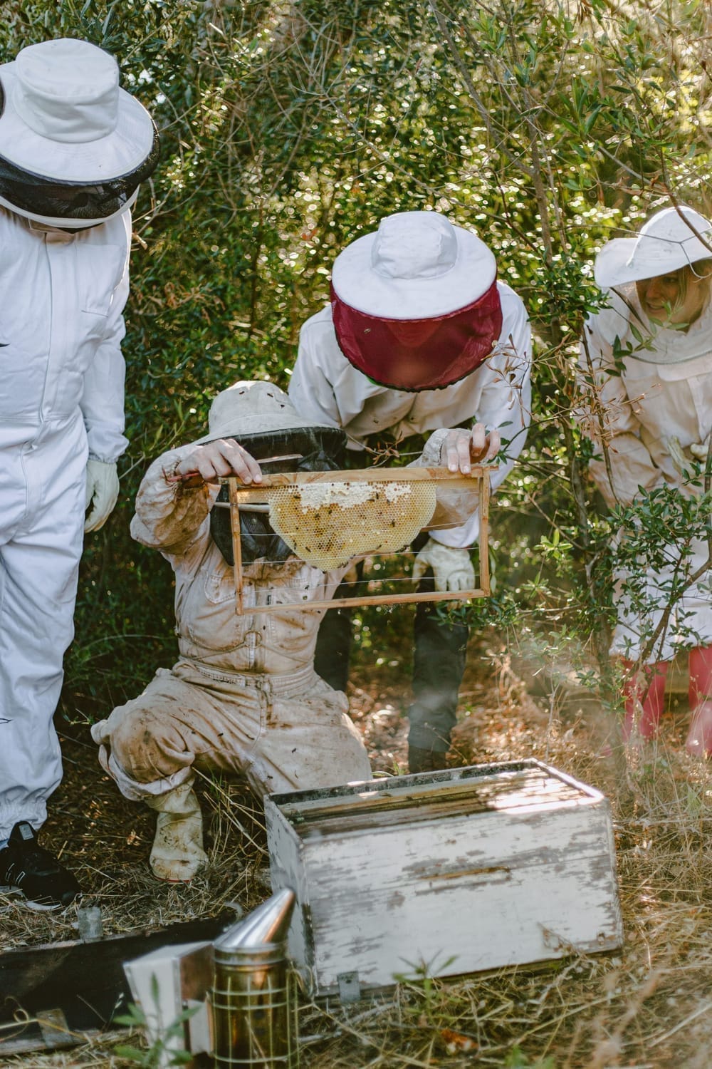 Worker bees tending to cells filled with nectar and honey