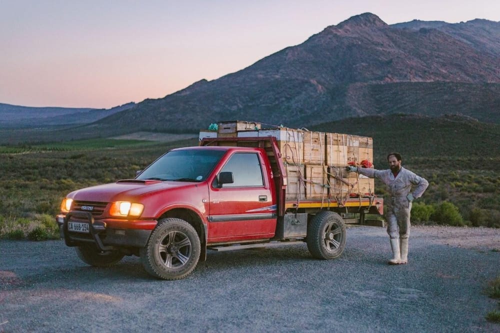 Bakkie loaded with beehives for pollination deployment